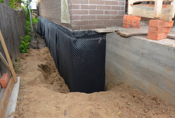 Expert waterproofing evaluation at a Petersburg, MI property